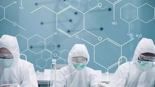 12个优质项目精准对接全国政府，技术开发全面提速