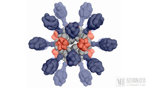 B轮融资1亿美元，ICOSAVAX携手IPD玩转病毒样颗粒技术，开发多条候选疫苗管线